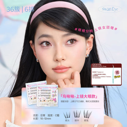 Mr.Wish心愿先生 免胶假睫毛 动物系列 - CHIHIRO COLLECTION