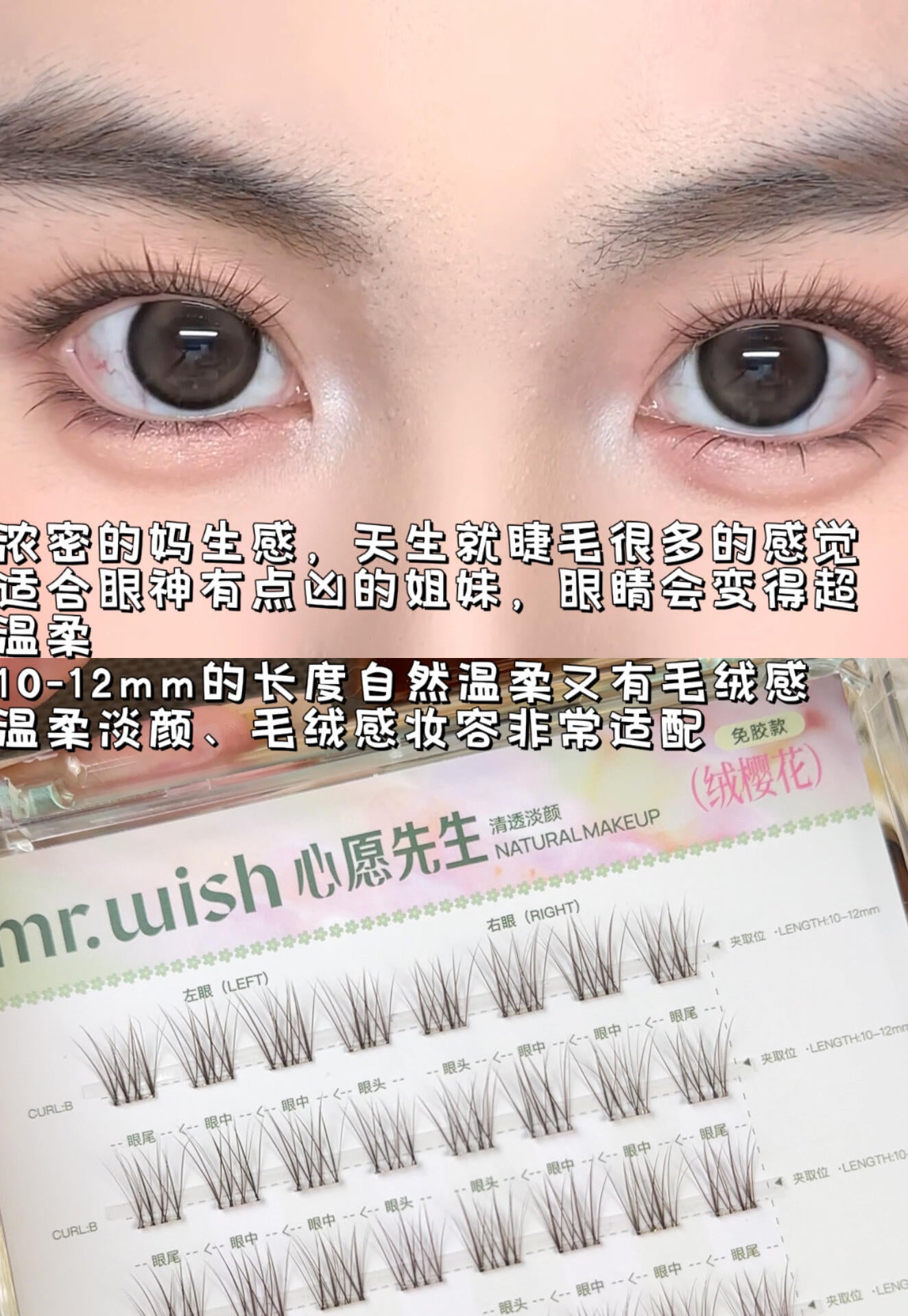 Mr.Wish 免胶假睫毛 -樱花系列(原野樱/素颜睫/绒樱花/氧气睫) - CHIHIRO COLLECTION