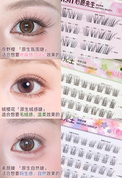 Mr.Wish 免胶假睫毛 -樱花系列(原野樱/素颜睫/绒樱花/氧气睫) - CHIHIRO COLLECTION