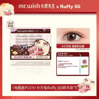 [Plus版 1盒=3盒]Mr.Wish心愿先生 免胶假睫毛 - CHIHIRO COLLECTION