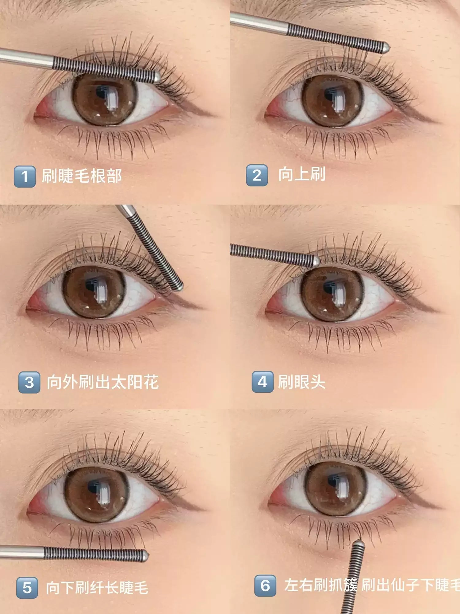 三资堂CENSTO 睫毛打底/双头睫毛膏 - CHIHIRO COLLECTION